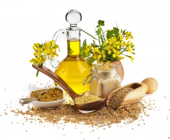 mustard-display-340x280
