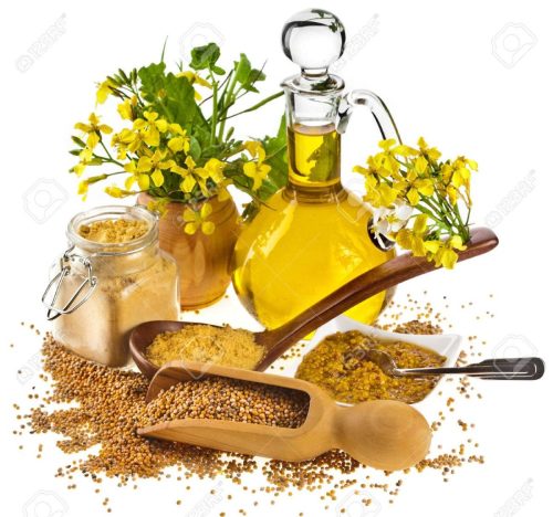 23514696-mustard-oil-jar-and-mustard-powder-spoon-seeds-scoop-with-fresh-mustard-flower-on-white